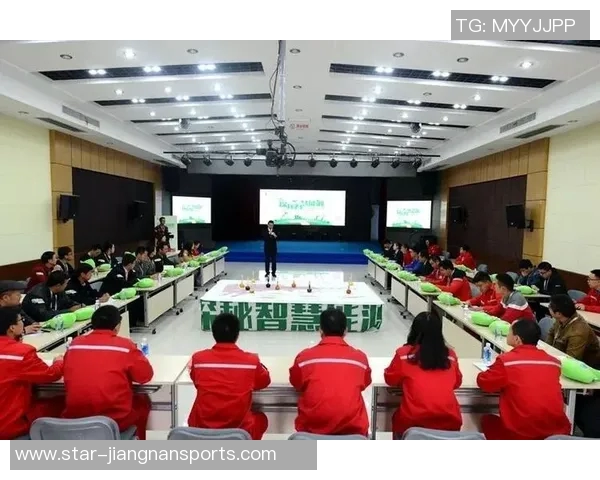 运动数据南京足球队的节奏探秘从历史传承到未来展望的全面分析